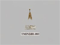 藏品(昏光苔蛾)的圖片